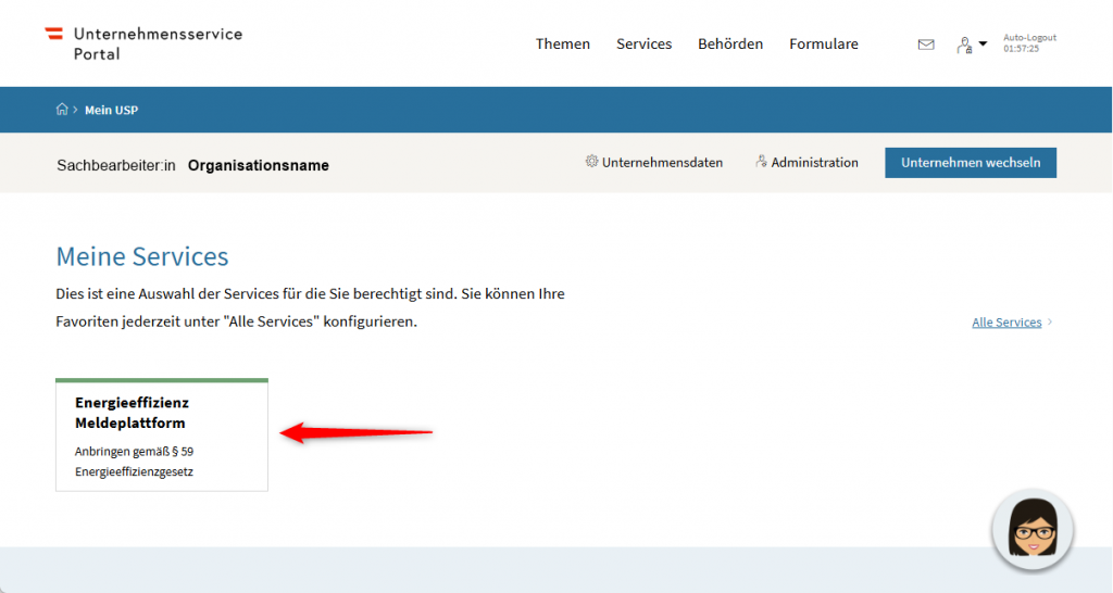 Bereich "Meine Services" im Unternehmensserviceportal. Die Abbildung zeigt die Schaltfläche "Energieeffizienz Meldeplattform".